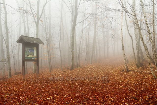 Odbočka modře značené cesty na vrchol