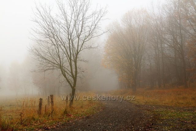 Po žluté do sedla Paškapole