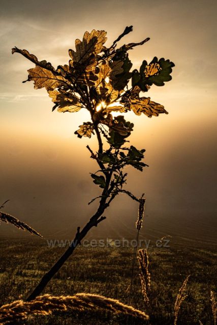 Východ slunce Rabí