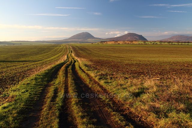 Zlatník a Želenický vrch