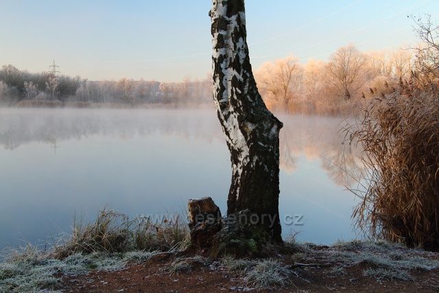 Mrazivé ráno u Márinky
