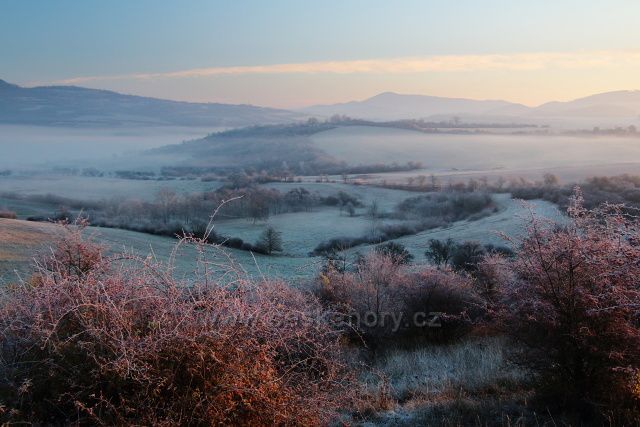 Pastviny nad Liběšicemi