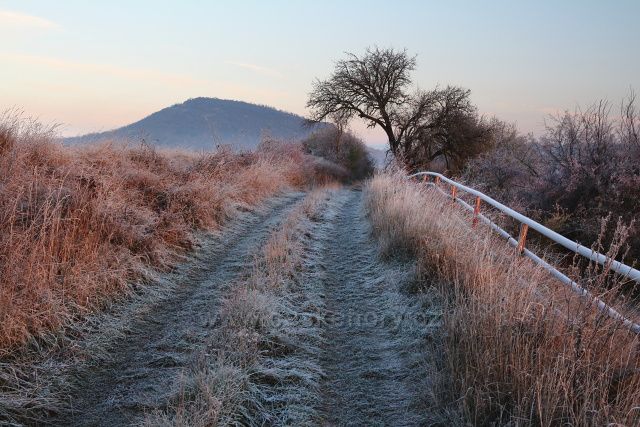 Cesta k Želenickému vrchu
