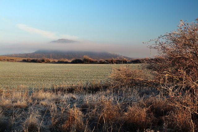 Želenický vrch zahalený mlhou