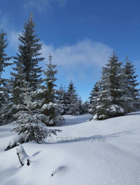 Zima na Bílé Opavě (Jeseníky)