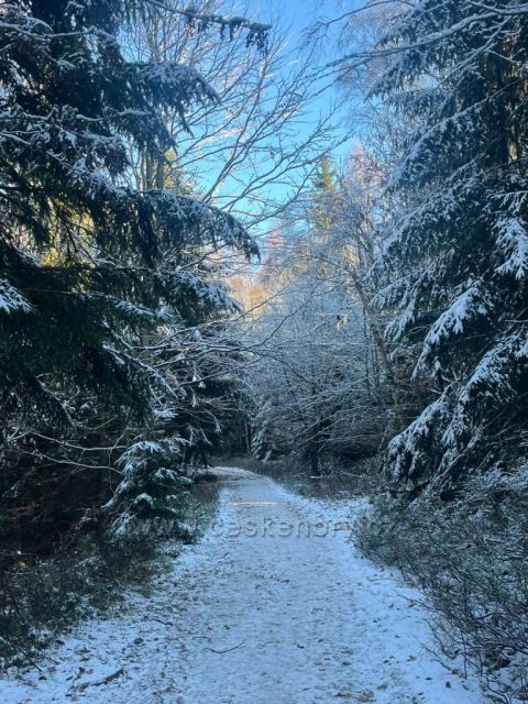Ceszou k Bedřichovské přehradě