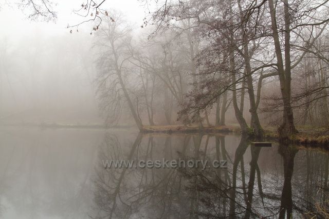 Zámecký rybník na Červeném Hrádku