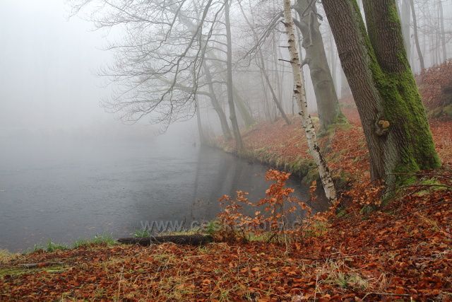 Jeden z rybníků v oboře