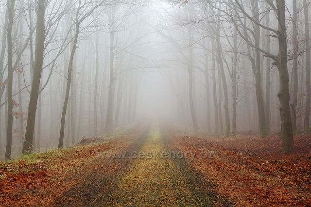 Stará Bolebořská cesta