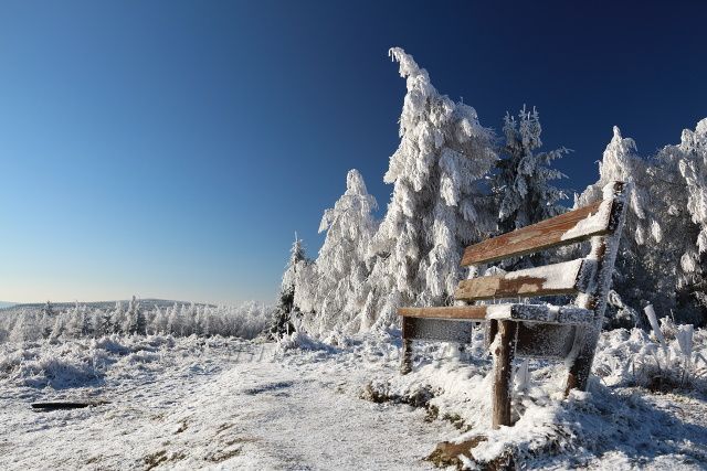 Vyhlídka na Cínovecké haldě