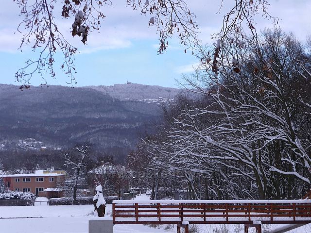 Proboštovský rybník v zimě