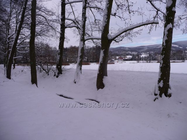 Proboštovský rybník v zimě