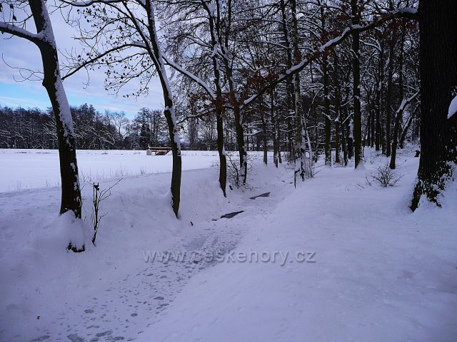 Proboštovský rybník v zimě