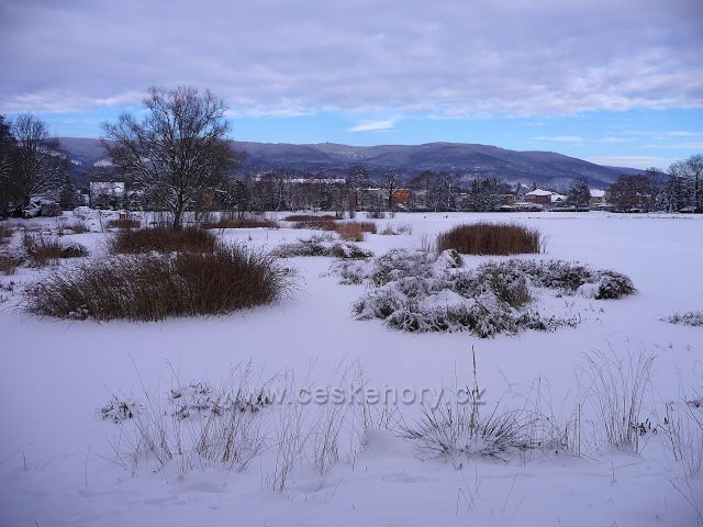 Proboštovský rybník v zimě