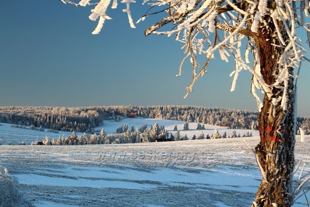 Zima na Novém Městě