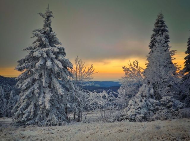 Do dáli
Orlické hory
