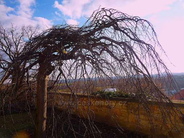 Toulky po Litoměřicích
