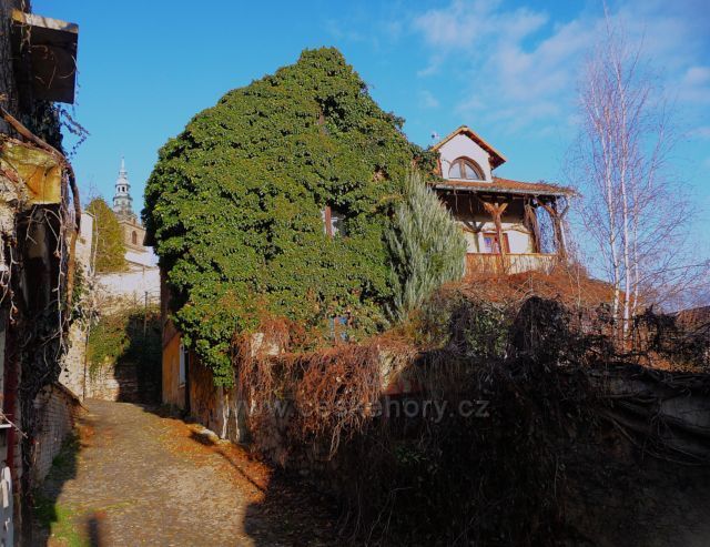 Toulky po Litoměřicích