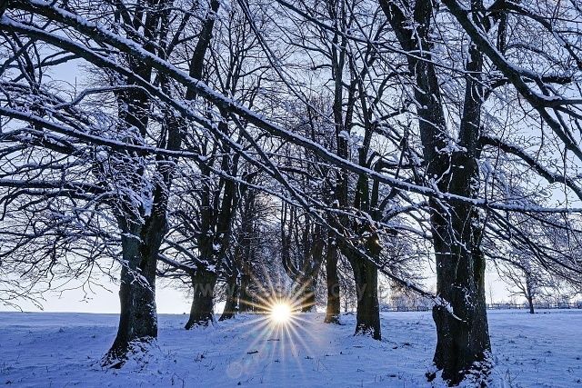 Alej k větrnému mlýnu u Vysoké