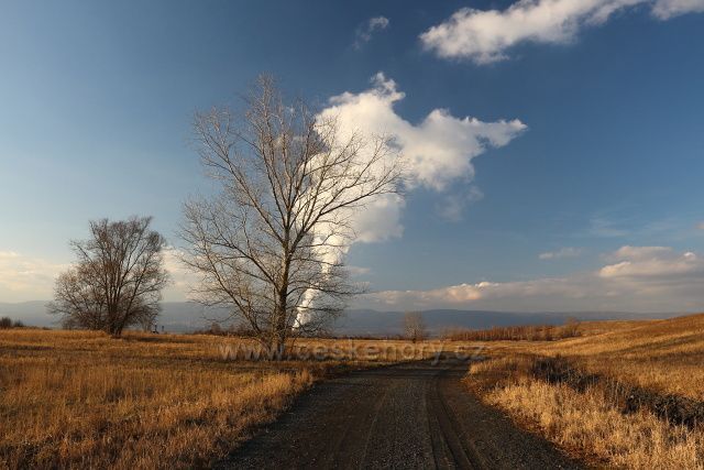 Radovesická výsypka
