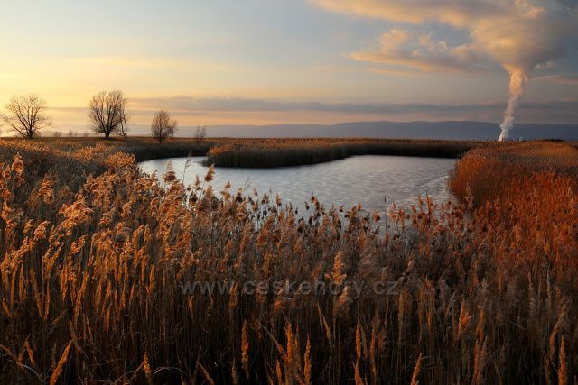 Radovesická výsypka