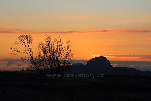 Bořeň z Radovesické výsypky