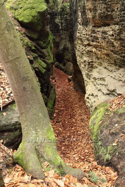 Skalní město Bludiště