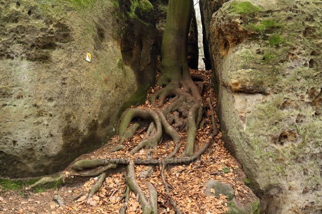 Skalní město Bludiště