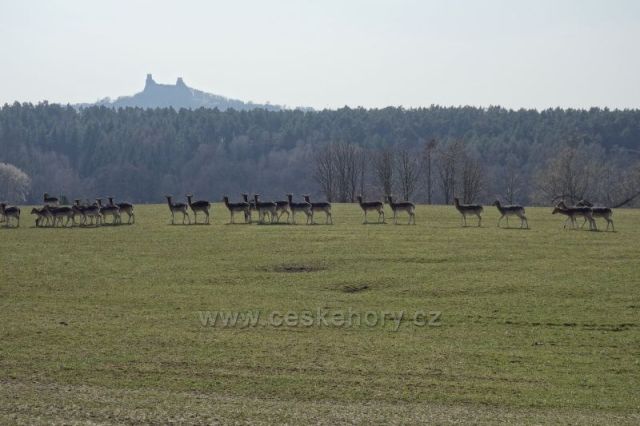Zrosky od katovy tůně