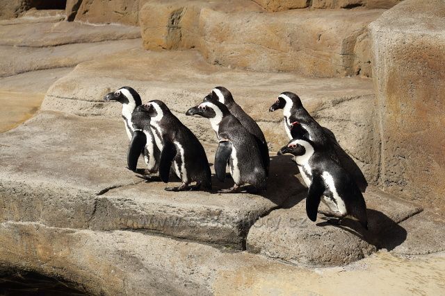 Zoo Ústí nad Labem