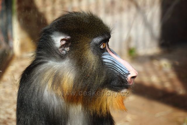 Zoo Ústí nad Labem