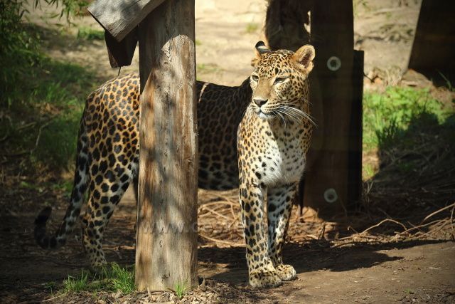 Zoo Ústí nad Labem