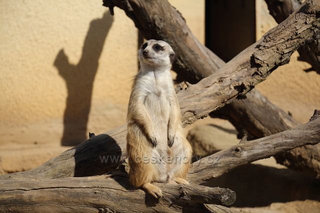 Zoo Ústí nad Labem