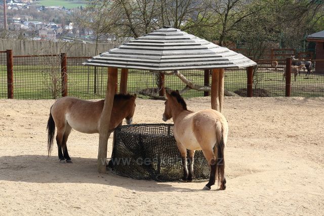 Zoo Ústí nad Labem