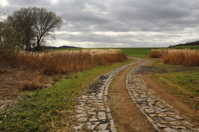 Upravená polní cesta u Kozlů