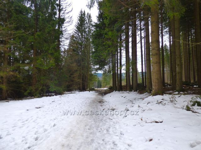 Naučná stezka Rejvíz