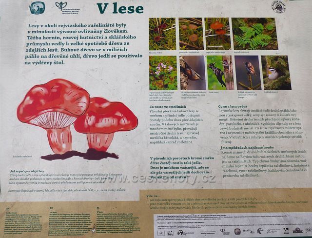 Naučná stezka Rejvíz