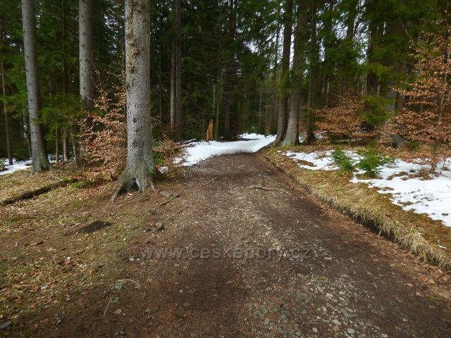 Naučná stezka Rejvíz