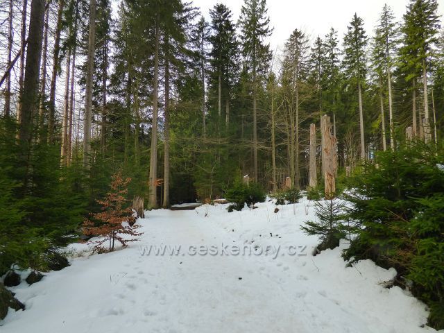 Naučná stezka Rejvíz