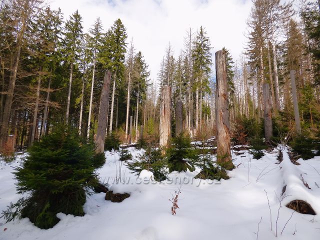 Naučná stezka Rejvíz