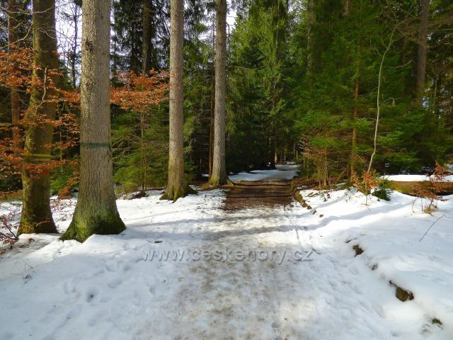 Naučná stezka Rejvíz