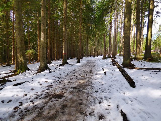 Naučná stezka Rejvíz