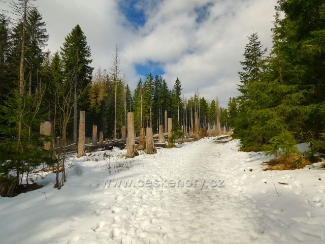 Naučná stezka Rejvíz