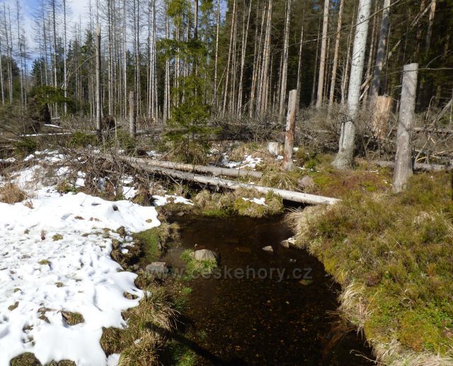 Naučná stezka Rejvíz
