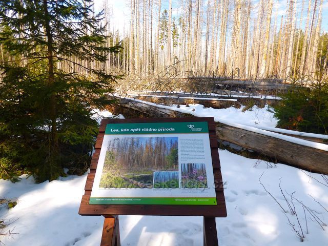 Naučná stezka Rejvíz