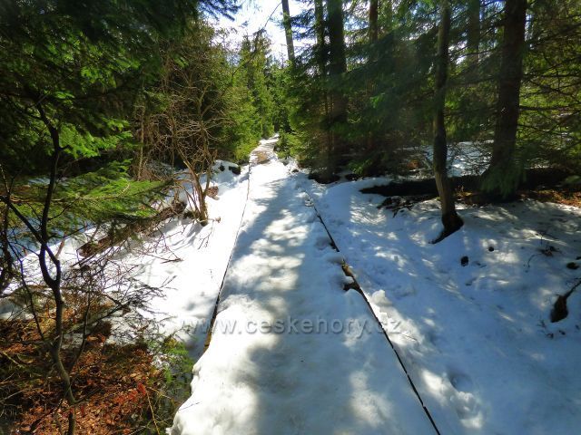 Naučná stezka Rejvíz