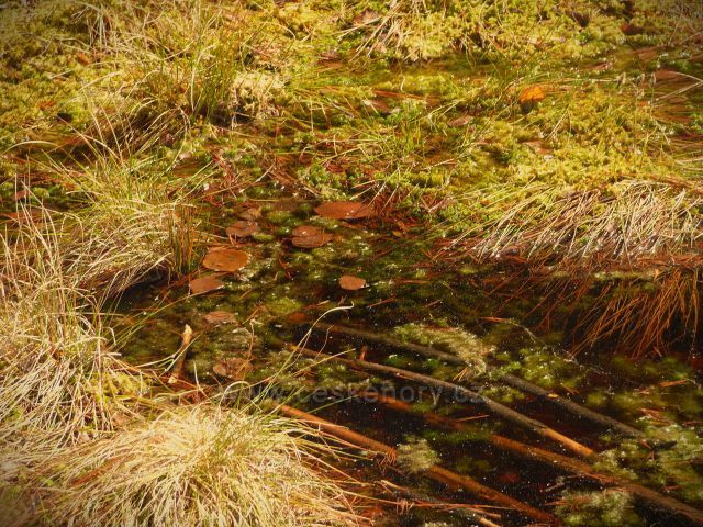 Naučná stezka Rejvíz