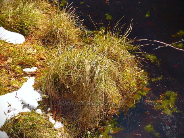 Naučná stezka Rejvíz