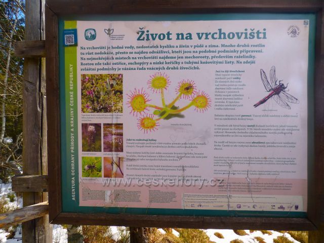 Naučná stezka Rejvíz