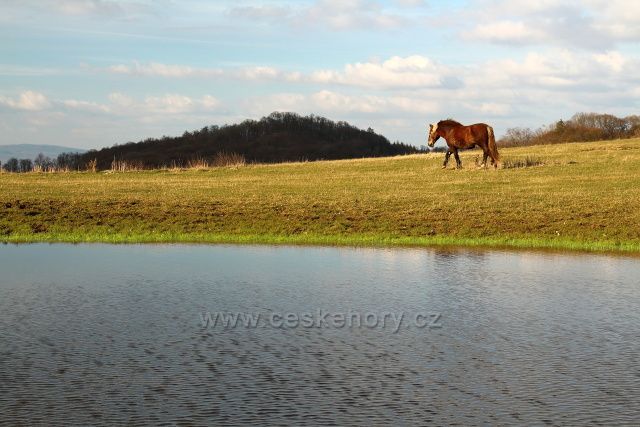 Pastviny pod Milešovkou
